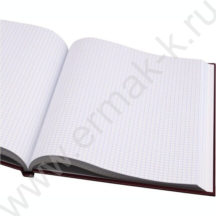 Книга Учёта 120л клетка тв.обл. офсет бордо | Фото 4