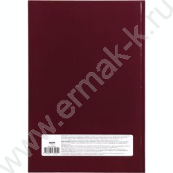 Книга Учёта 120л клетка тв.обл. офсет бордо | Фото 5