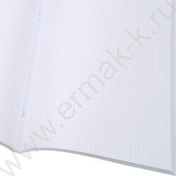 Книга Учёта  96л клетка офсет картон зеленый | Фото 2