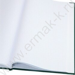 Книга Учёта  96л клетка тв.обл.офсет зеленый | Фото 3