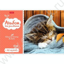 Альбом д/рисования 20л "Котята" 5видов | Фото 1
