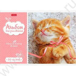 Альбом д/рисования 20л "Котята" 5видов | Фото 2