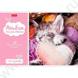 Альбом д/рисования 20л "Котята" 5видов | Фото 3