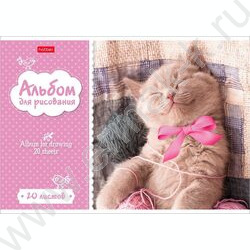 Альбом д/рисования 20л "Котята" 5видов | Фото 4