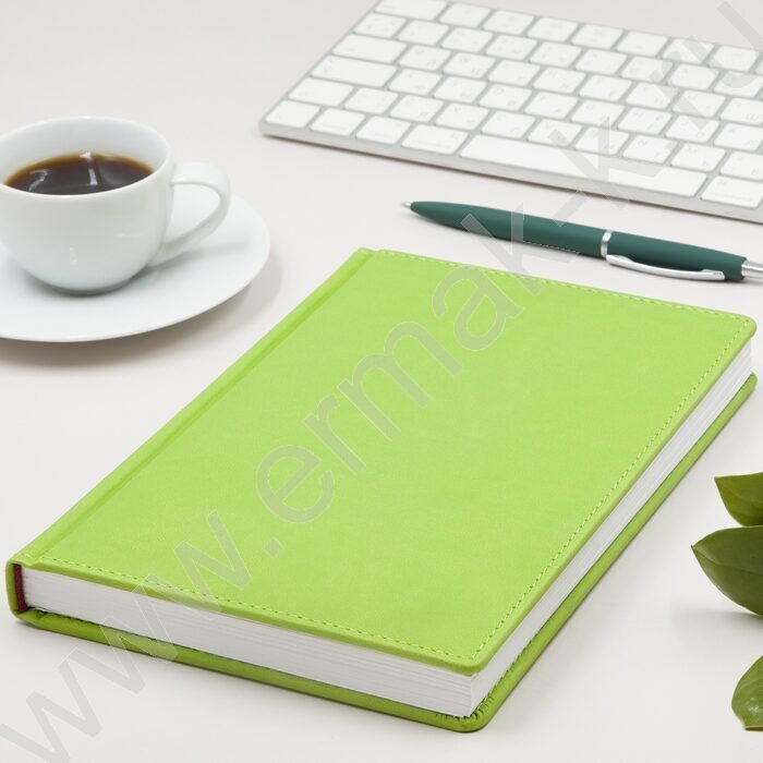 Ежедневник н/дат А5 136л Velvet салатовый | Фото 3
