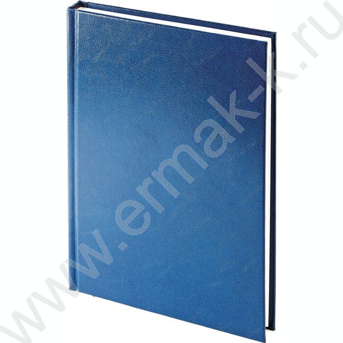 Ежедневник н/дат А5 136л Ideal синий | Фото 1