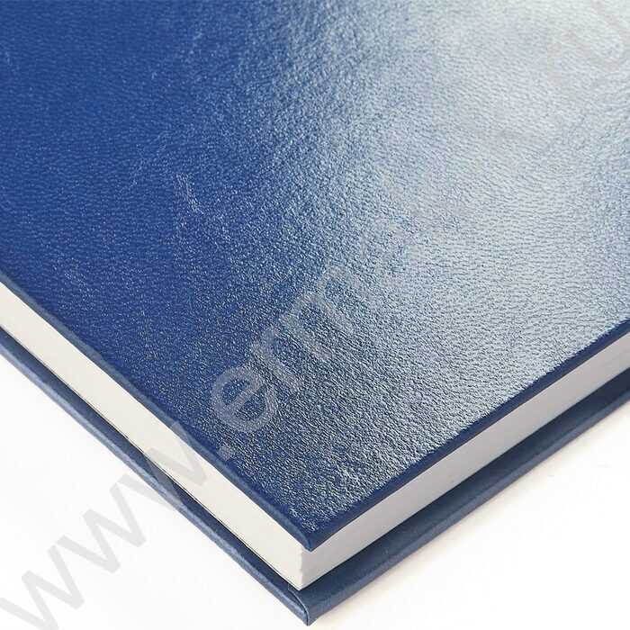 Ежедневник н/дат А5 136л Ideal синий | Фото 3