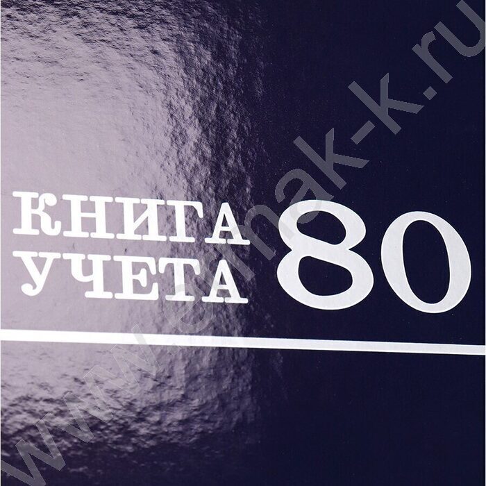 Книга Учёта  80л клетка тв.обл. офсет | Фото 5