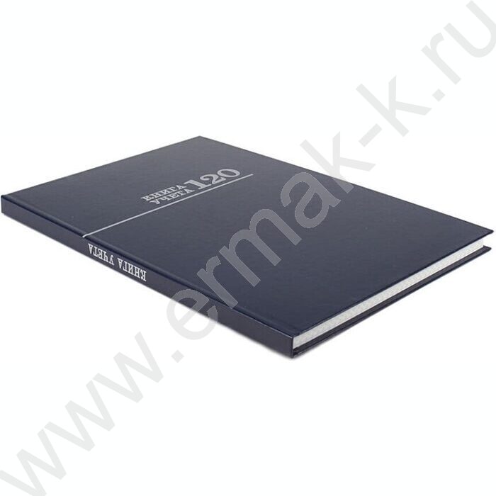 Книга Учёта 120л клетка тв.обл. офсет | Фото 3