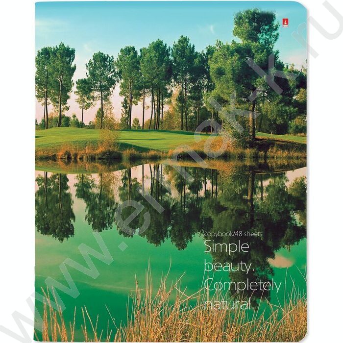 Тетрадь  48л клетка "Природа.Пейзажи" 5видов | Фото 4