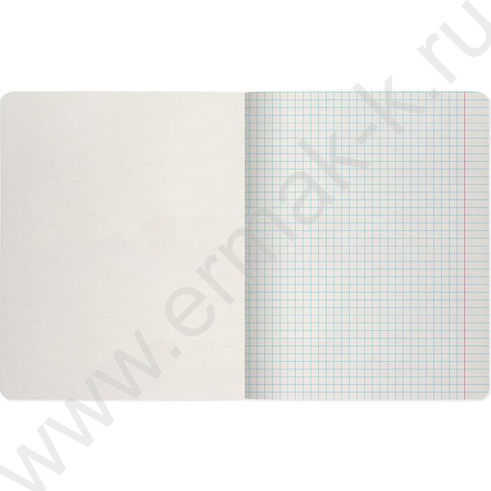 Тетрадь  48л клетка "Природа.Пейзажи" 5видов | Фото 6