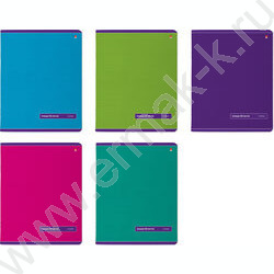 Тетрадь  48л линейка "Классика" /лак/ 5видов | Фото 1