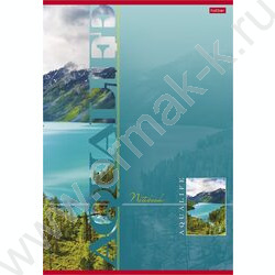 Тетрадь  80л А4 клетка "Aqualife" /лак/ 5видов | Фото 1
