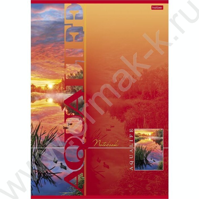 Тетрадь  80л А4 клетка "Aqualife" /лак/ 5видов | Фото 2
