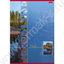 Тетрадь  80л А4 клетка "Aqualife" /лак/ 5видов | Фото 3
