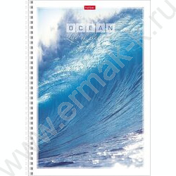 Тетрадь  96л А4 клетка/спираль "Океан" | Фото 3