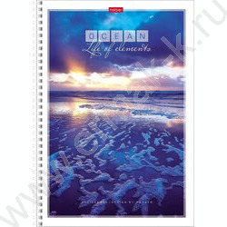 Тетрадь  96л А4 клетка/спираль "Океан" | Фото 4