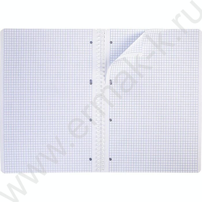 Тетрадь  96л А4 клетка/спираль "Океан" | Фото 5