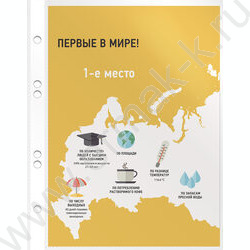 Файлы (мультифора) А5  30мкм Премиум глянцевые | Фото 5