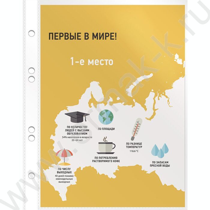 Файлы (мультифора) А5  30мкм Премиум глянцевые | Фото 5
