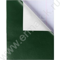 Тетрадь  48л клетка "Бум/винил" зеленый (блок эконом) | Фото 1