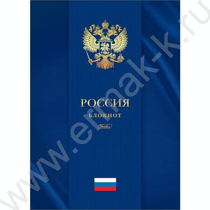 Бизнес-блокнот  80л А4 5-цв.блок/тв.обл/3D фольга "Россия" | Фото 1