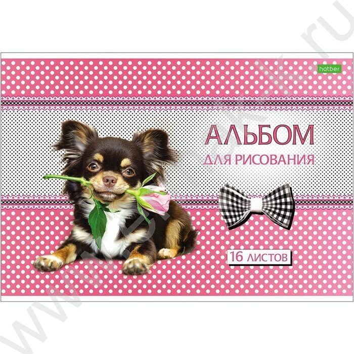 Альбом д/рисования 16л "Щенки" 5видов | Фото 2