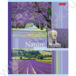 Тетрадь  48л клетка "Beautiful nature" 5видов | Фото 2