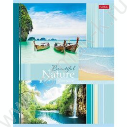 Тетрадь  48л клетка "Beautiful nature" 5видов | Фото 3