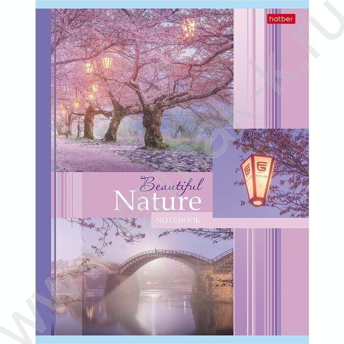 Тетрадь  48л клетка "Beautiful nature" 5видов | Фото 4