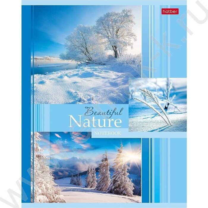 Тетрадь  48л клетка "Beautiful nature" 5видов | Фото 5