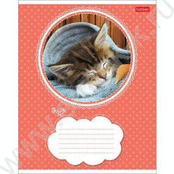 Тетрадь  18л линейка "Котята" 5видов | Фото 1