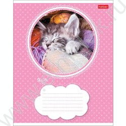 Тетрадь  18л линейка "Котята" 5видов | Фото 2