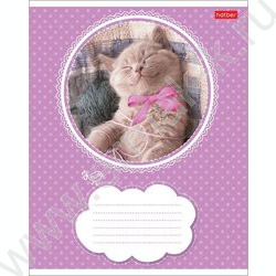 Тетрадь  18л линейка "Котята" 5видов | Фото 3