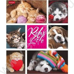 Тетрадь  24л клетка "Relax Life" 5видов | Фото 1