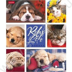 Тетрадь  24л клетка "Relax Life" 5видов | Фото 2