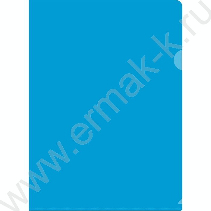 Папка уголок А4 Economy синий тисненый 0,10мм | Фото 1