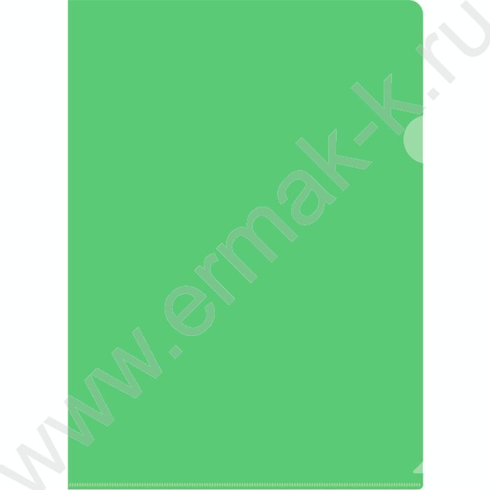 Папка уголок А4 Economy зеленый тисненый 0,10мм | Фото 1