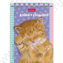 Блокнот  40л А7 спираль "Котята" | Фото 1