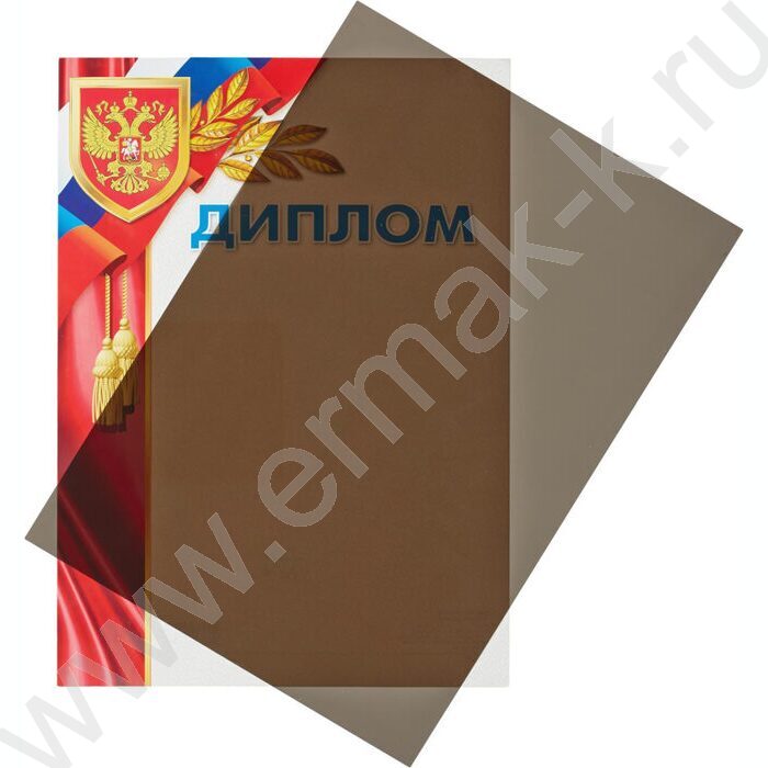 Обложка А4 PMO полипропилен 200мкм прозрачные дымчатые /100шт | Фото 3