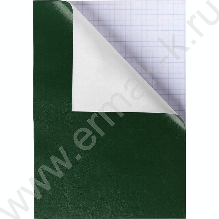 Тетрадь  96л А4 клетка "Бум/винил" зеленый (блок эконом) | Фото 1