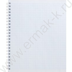 Тетрадь  80л клетка/спираль/пластик.обл. "Metallic-серая" | Фото 2