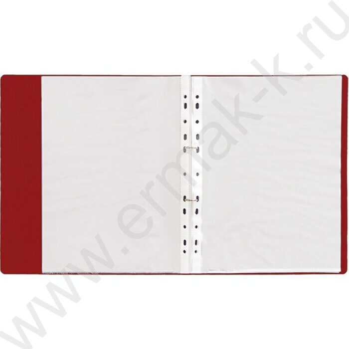 Портфолио школьника /2кольца,20файлов/ красный | Фото 4