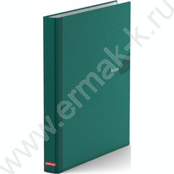 Папка 2 кольца Work Inside ламинир. зеленая | Фото 1
