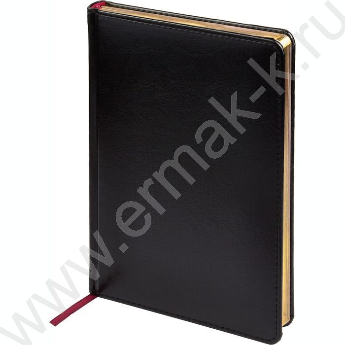 Ежедневник н/дат А5 136л Sidney Nebraska черный/золотой обрез,ляссе,линейка | Фото 1