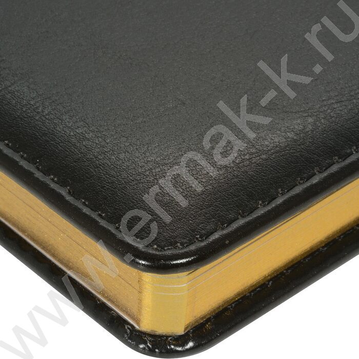 Ежедневник н/дат А5 136л Sidney Nebraska черный/золотой обрез,ляссе,линейка | Фото 3