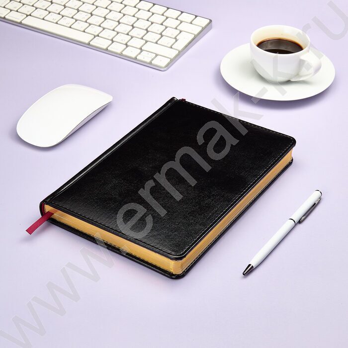 Ежедневник н/дат А5 136л Sidney Nebraska черный/золотой обрез,ляссе,линейка | Фото 4