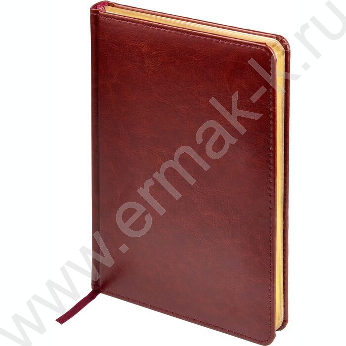 Ежедневник н/дат А5 136л Sidney Nebraska коричневый/золотой обрез,ляссе,линейка | Фото 1