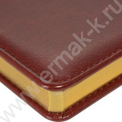 Ежедневник н/дат А5 136л Sidney Nebraska коричневый/золотой обрез,ляссе,линейка | Фото 4