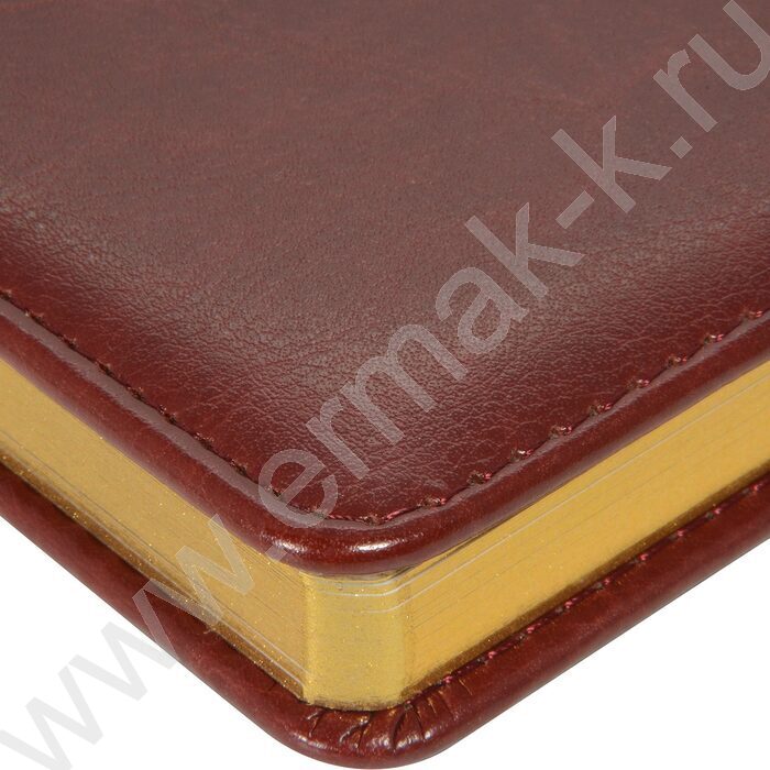 Ежедневник н/дат А5 136л Sidney Nebraska коричневый/золотой обрез,ляссе,линейка | Фото 4